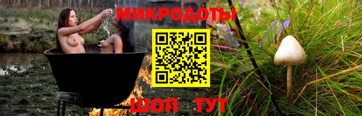 Галлюциногенные грибы Cubensis  Вход с VPN  Бузулук 